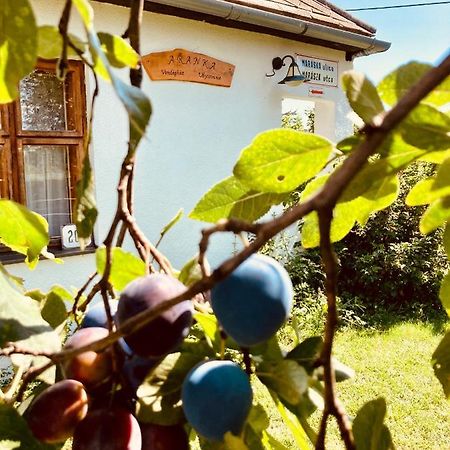 Ubytovanie U Aranky Cierna nad Tisou Екстериор снимка